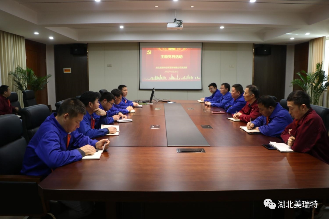 公司黨支部開展主題黨日活動(dòng)